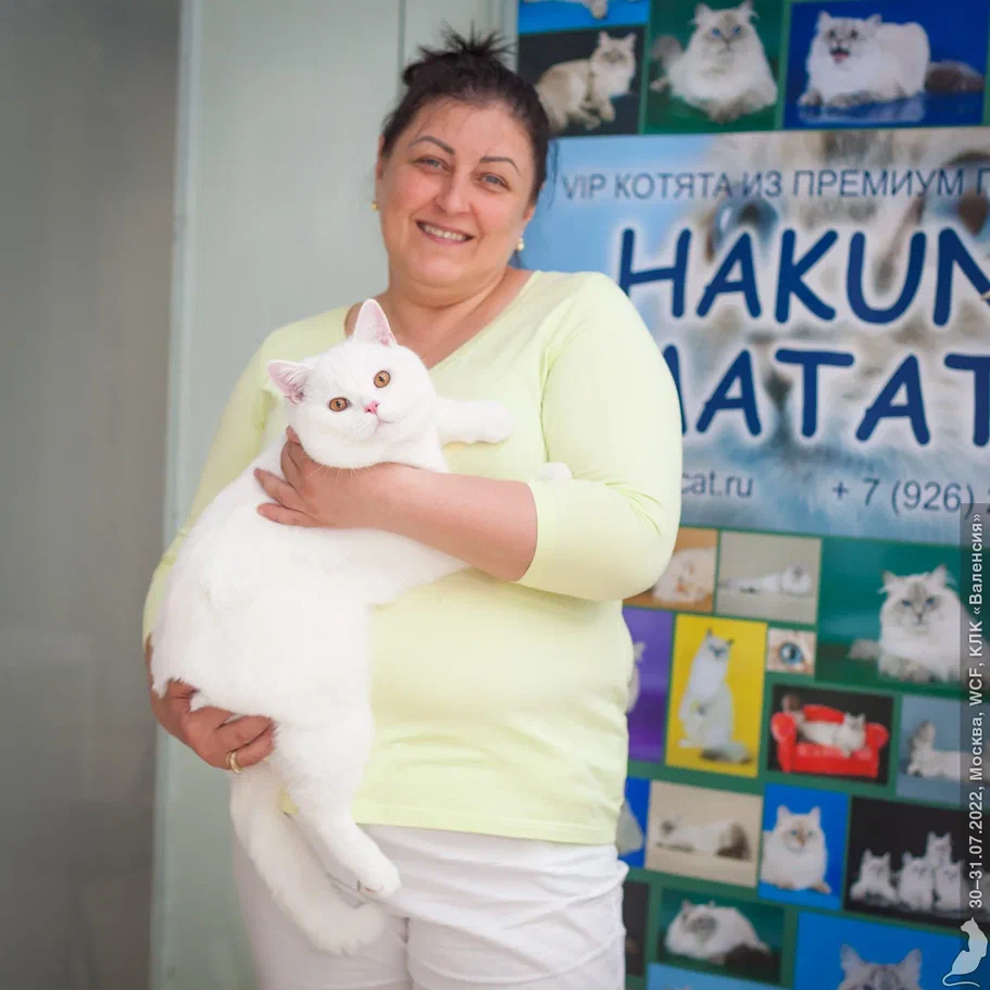 20220730_2205.jpg 20220730_2205.jpg