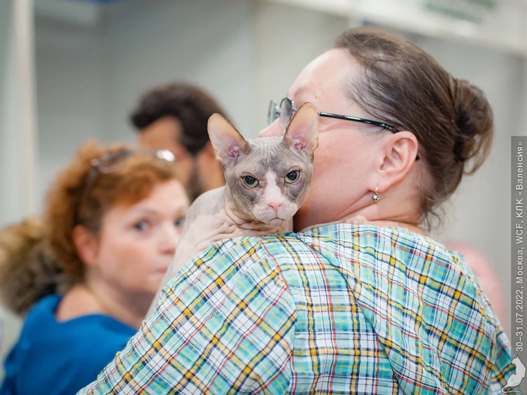 20220730_2275.jpg 20220730_2275.jpg