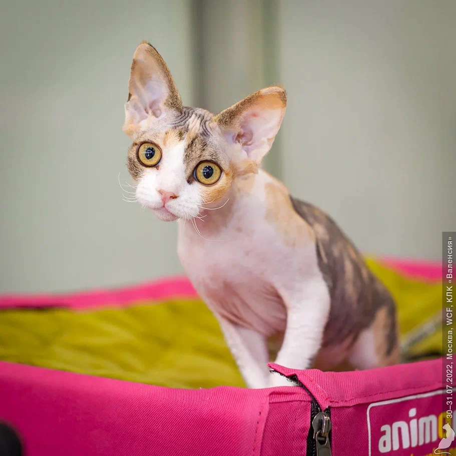 20220730_2190.jpg 20220730_2190.jpg