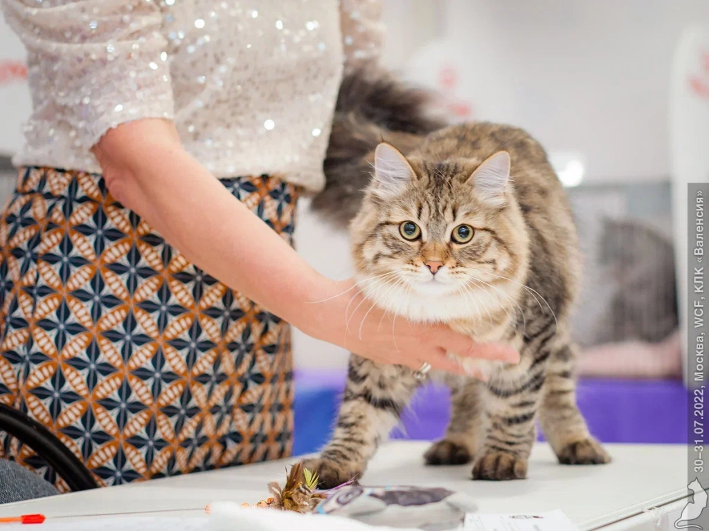 20220730_2228.jpg 20220730_2228.jpg