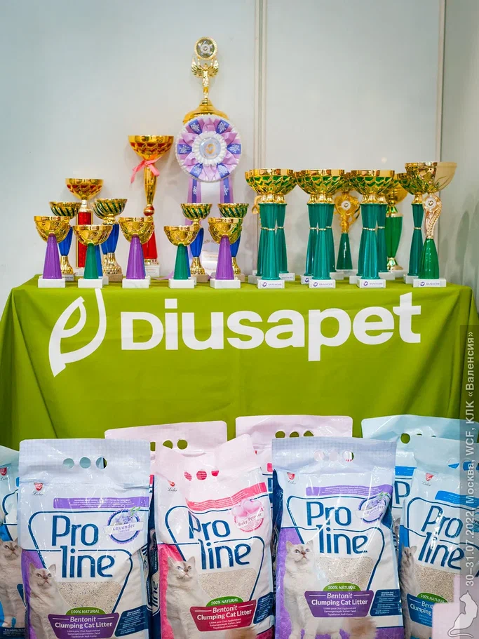 20220730_2162.jpg 20220730_2162.jpg