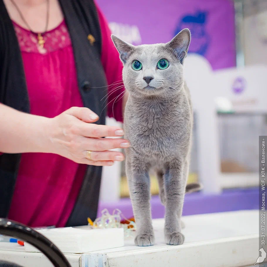 20220730_2313.jpg 20220730_2313.jpg