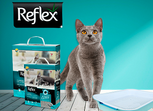 Встречайте комкующиеся наполнители Reflex в России